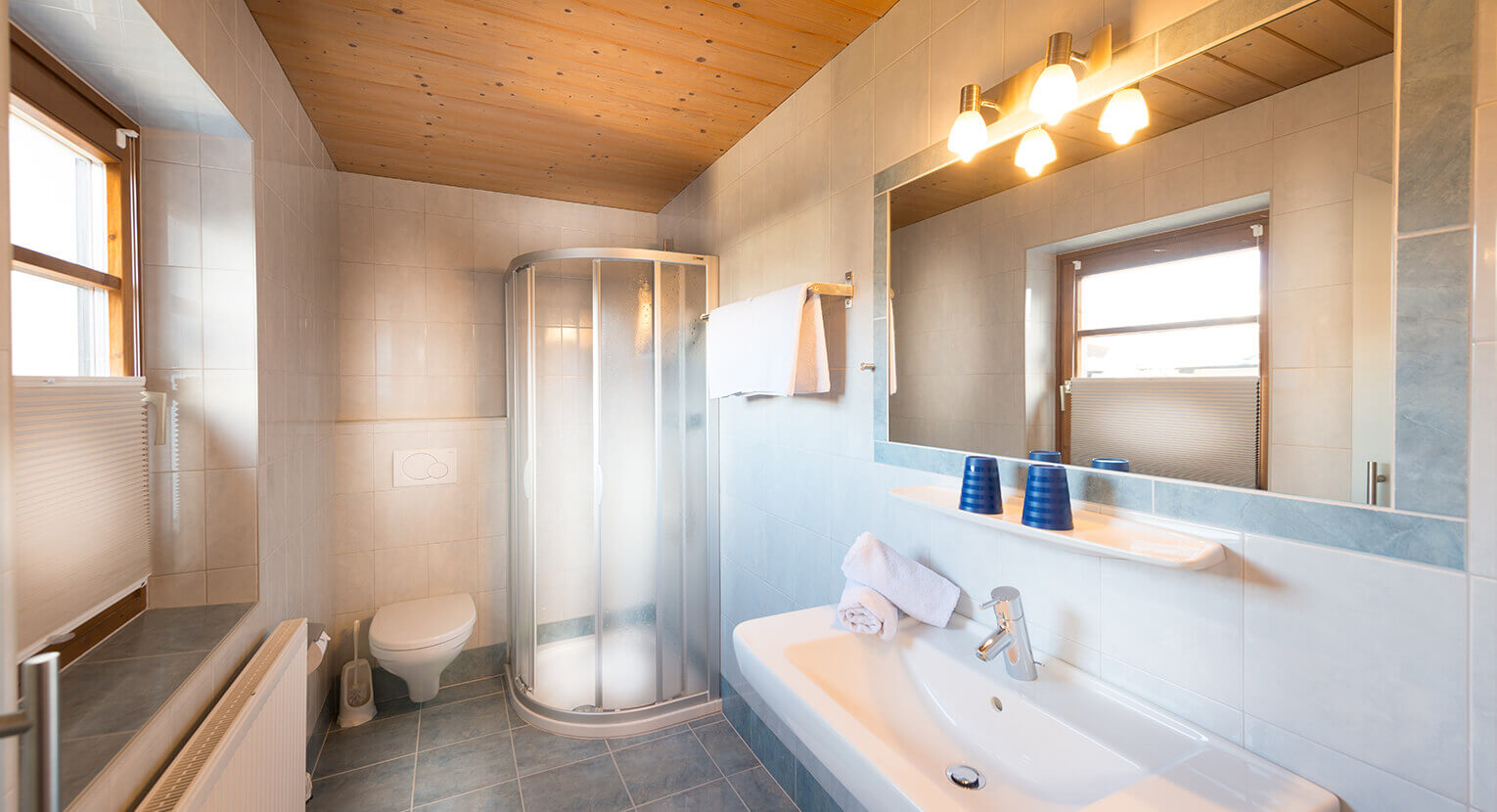 Badezimmer mit Dusche und WC
