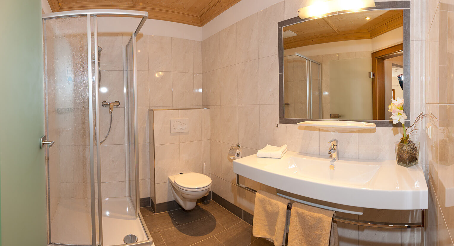 Badezimmer mit Dusche und WC