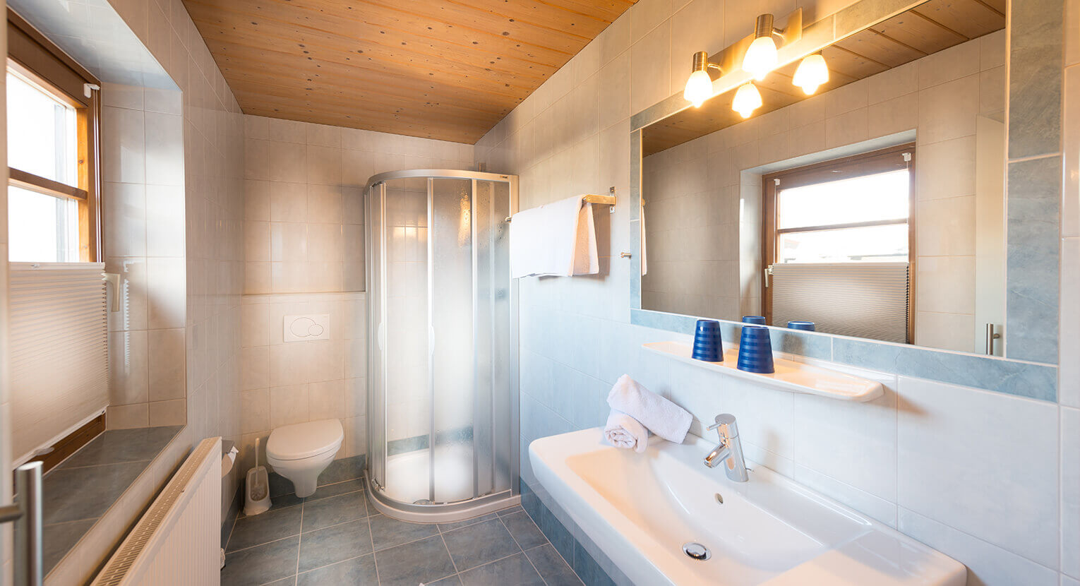 Badezimmer mit Dusche und WC