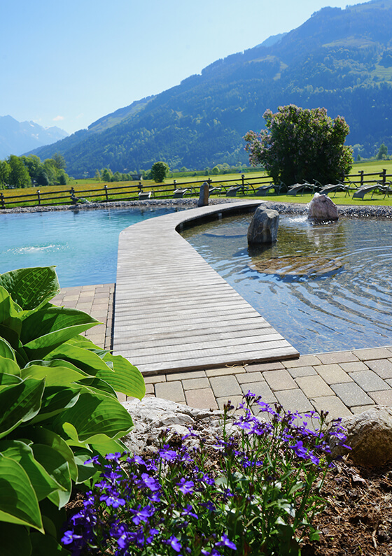 Steg am Naturpool