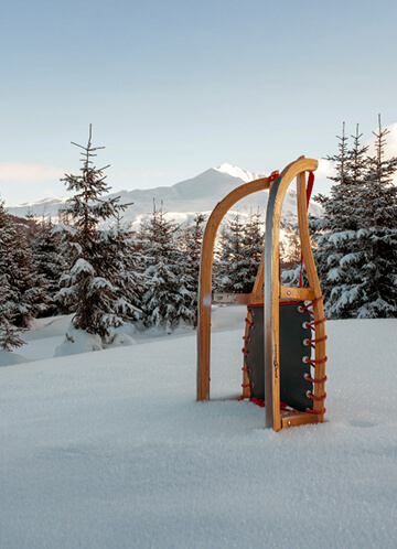 Rodel im Schnee