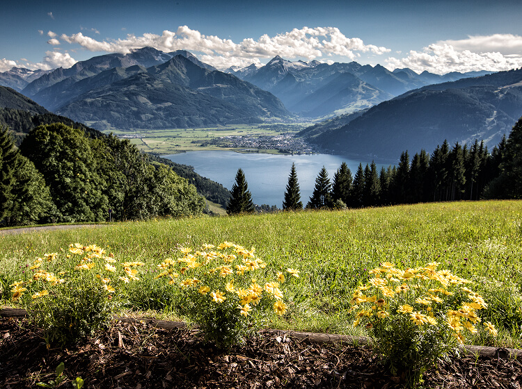Zell am See Bergpanorama