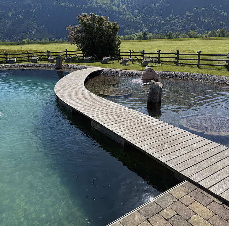 Steg am Naturpool