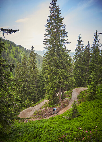 Mountainbiken am Waldweg