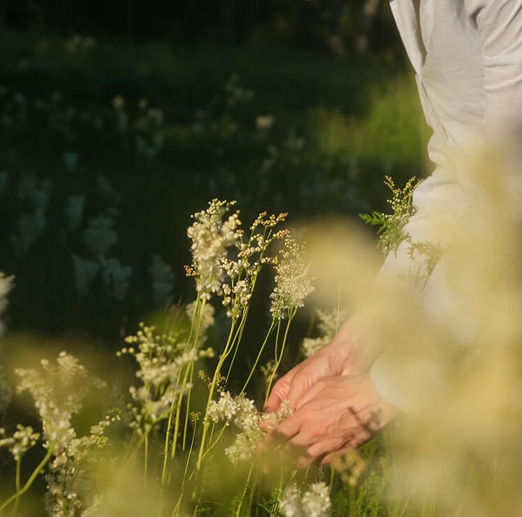 Natur mit Pflanzen