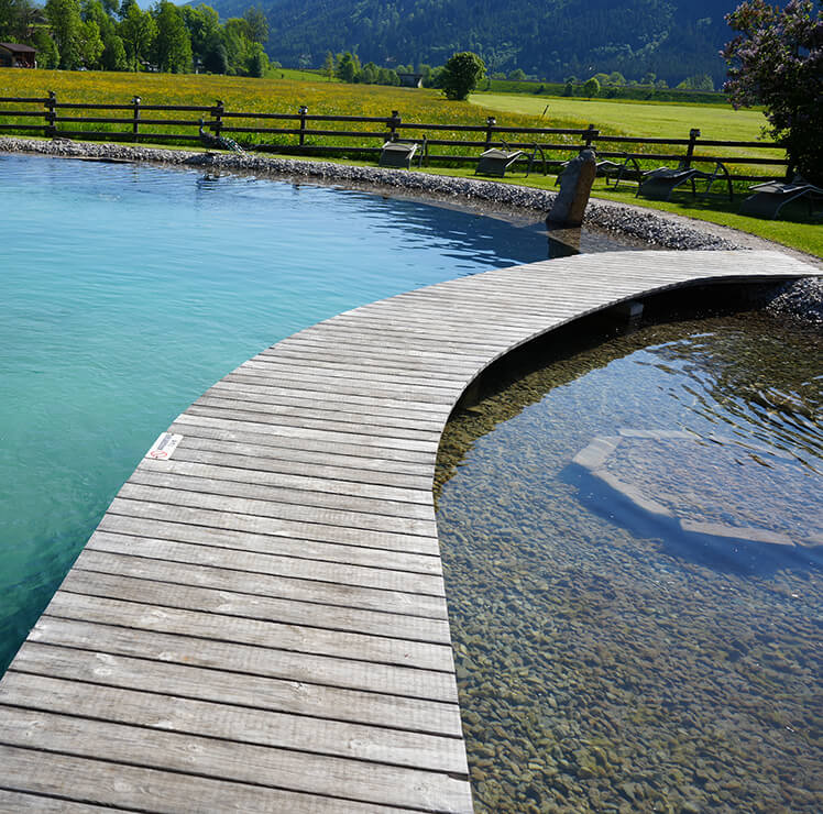 Steg am Naturpool